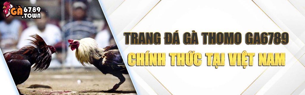 GA6789 - Thành phố cá cược giải trí đá gà trực tiếp Ga6789